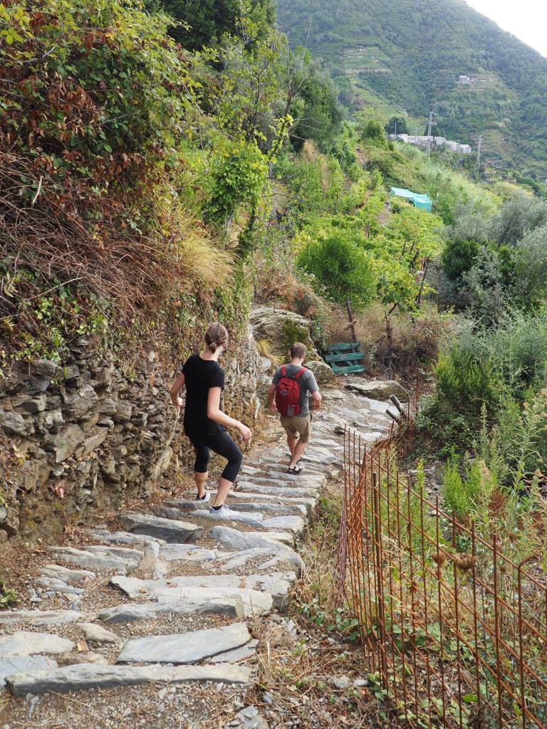 14707899_4173697342749_831589630346713389_o