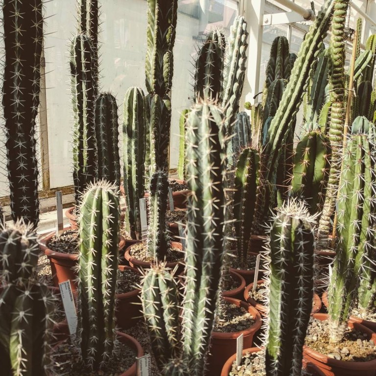 IMG_20170409_181232_812