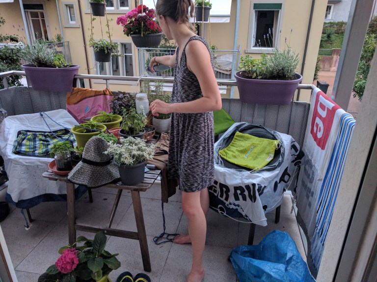 IMG_20170623_213048 (1)