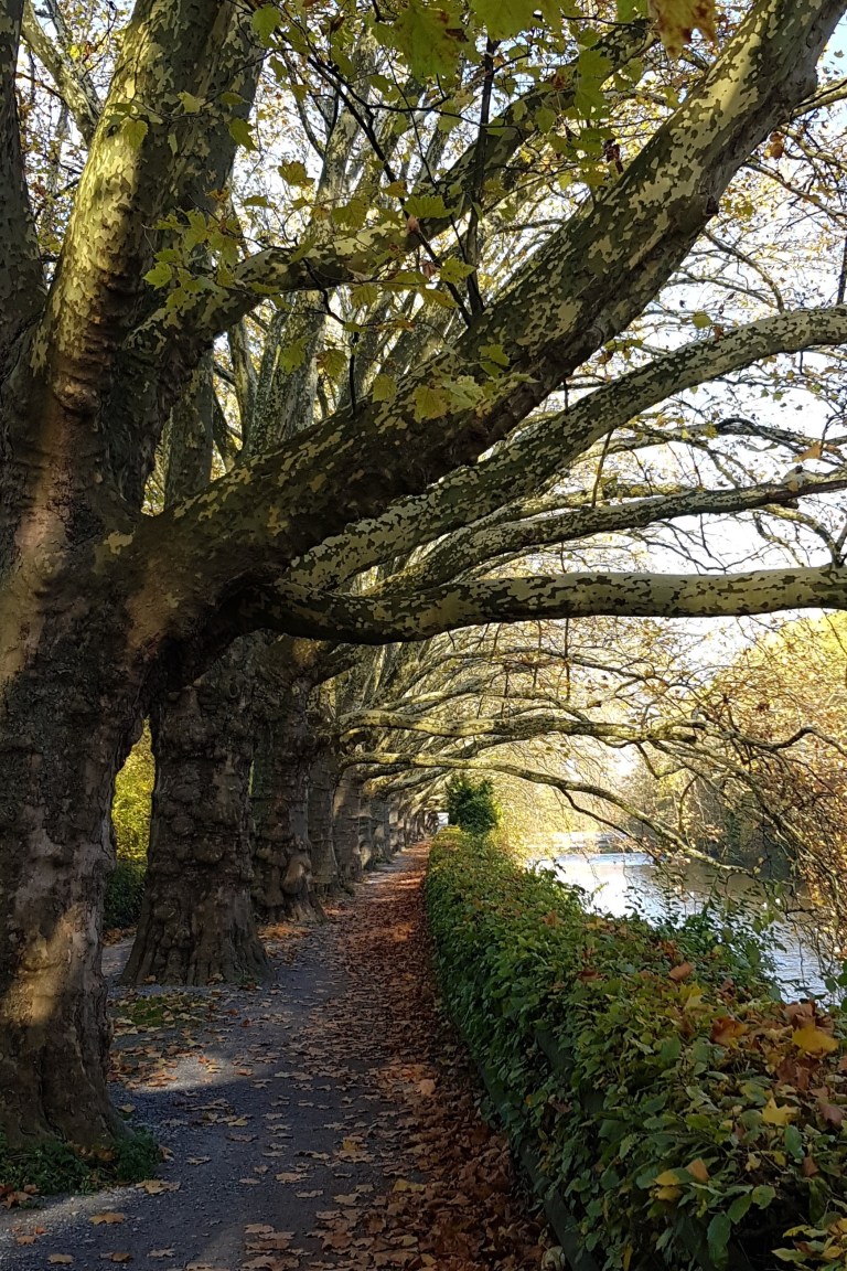 IMG_20171031_143927_445